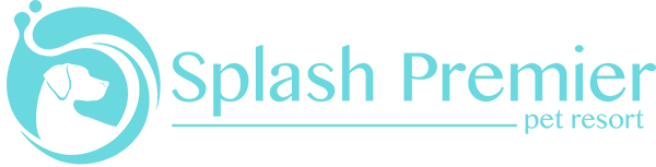 Splash Premier Dog Resort Logo